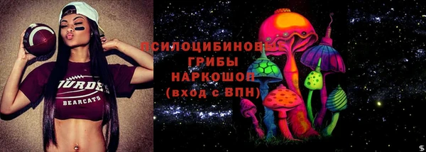 ECSTASY Абаза