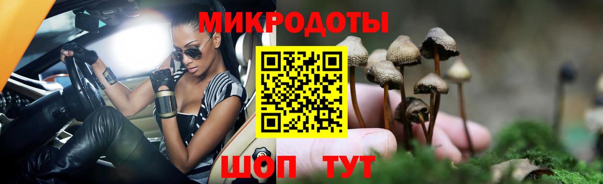 Галлюциногенные грибы Psilocybine cubensis  Галлюциногенные грибы Psilocybe  Камышлов  Вход с VPN 
